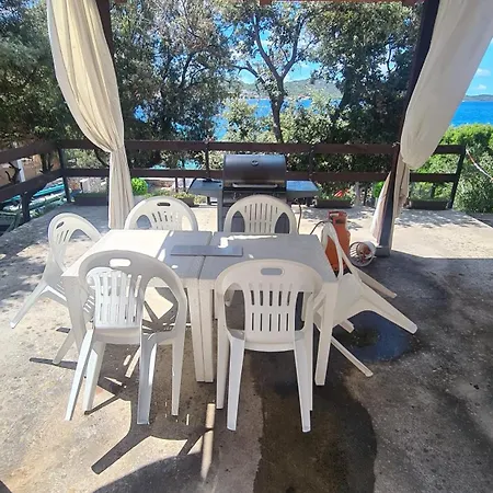 Rose Ann רוגוזניצה