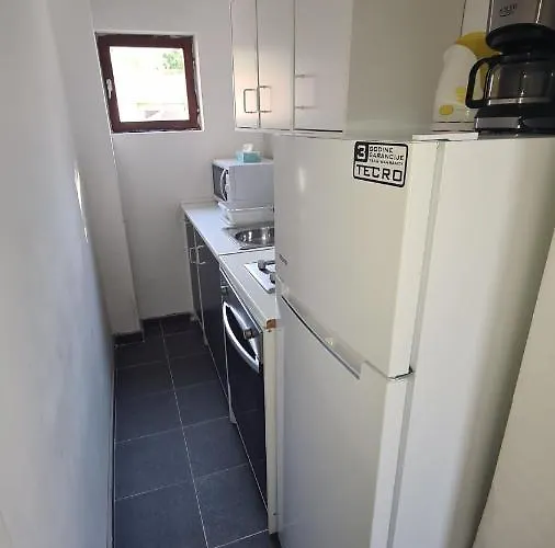 Rose Ann רוגוזניצה